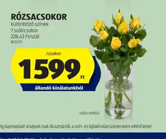 ALDI Rzsacsokor ajánlat