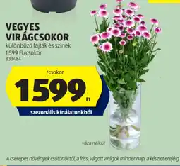 ALDI Vegyes virágcsokor ajánlat