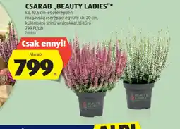 ALDI Csarab „Beauty Ladies” ajánlat
