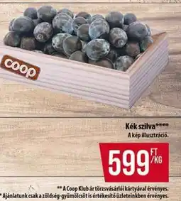Coop Kék szilva ajánlat