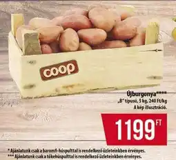 Coop Újburgonya ajánlat