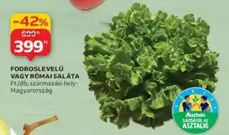 Auchan Fodroslevelű vagy rómaisaláta ajánlat