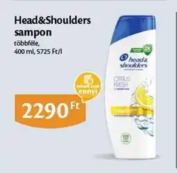 EcoFamily HEAD & SHOULDERS Sampon ajánlat