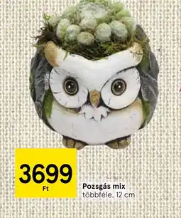 Tesco Pozsgás mix ajánlat