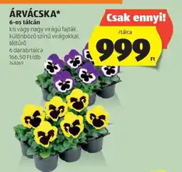ALDI Árvácska ajánlat