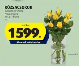 ALDI RÓZSACSOKOR ajánlat