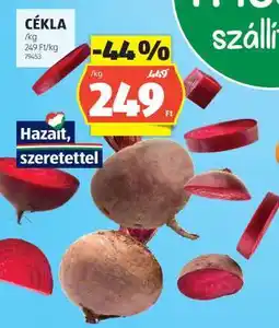 ALDI Cékla ajánlat