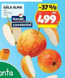 ALDI Gála alma ajánlat