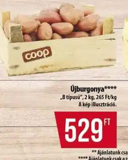 Coop Újburgonya ajánlat