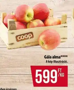 Coop Gála alma ajánlat
