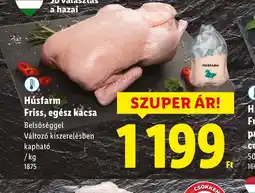 Lidl Húsfarm Friss, egész kacsa ajánlat