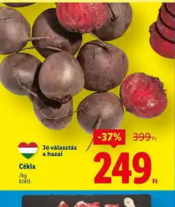 Lidl Cékla ajánlat