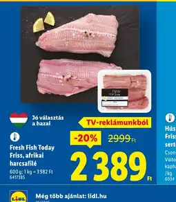 Lidl Fresh Fish Today Friss, afrikai harcsafilé ajánlat