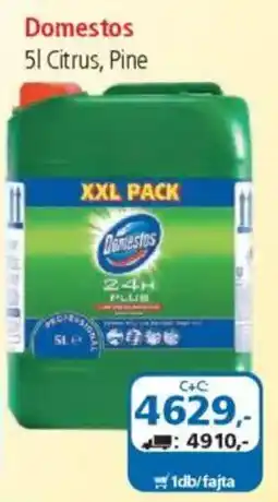 ÁRKLUB Domestos ajánlat
