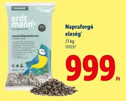 Lidl Napraforgó eleség ajánlat