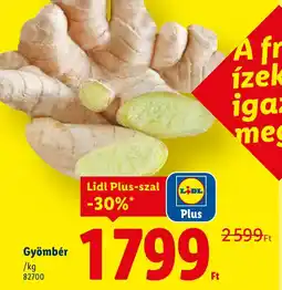 Lidl Gyömbér ajánlat
