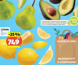 ALDI Milfina Gyümölcsjoghurt ajánlat