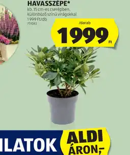 ALDI Workzone Mini Vízmértékkészlet ajánlat