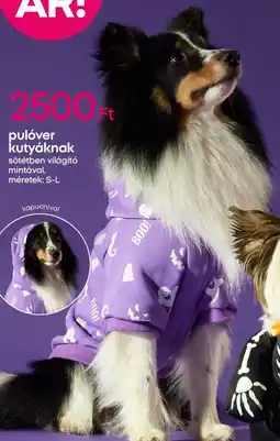 Pepco Pulóver kutyáknak ajánlat