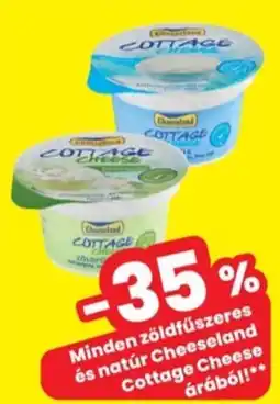 Interspar Zöldfűszeres és natúr Cheeseland Cottage Cheese ajánlat