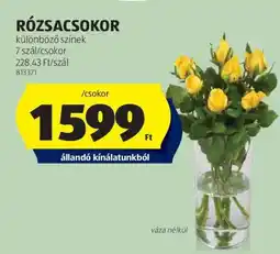 ALDI RÓZSACSOKOR ajánlat