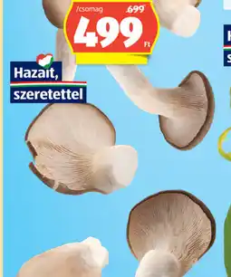 ALDI Laskagomba ajánlat