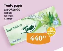 EcoFamily Tento papír zsebkendő ajánlat