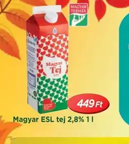 Real Magyar ESL tej ajánlat