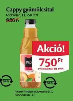 EcoFamily Cappy Gyümölcsital ajánlat