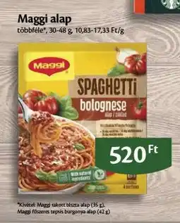 EcoFamily Maggi alap ajánlat