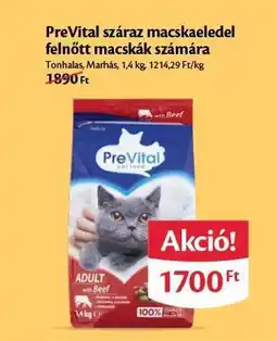 EcoFamily PreVital száraz macskaeledel felnőtt macskák számára ajánlat