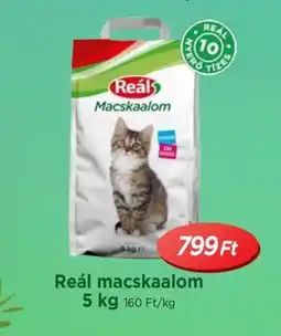 Real Reál macskaalom ajánlat