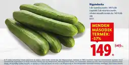 Lidl Kígyuborka ajánlat