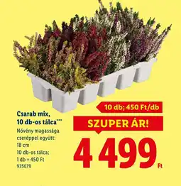 Lidl Csarab mix ajánlat