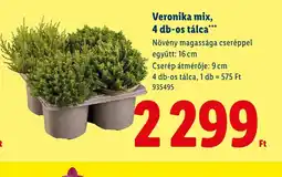 Lidl Veronika mix ajánlat