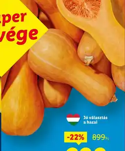 Lidl Bio sütőtök ajánlat