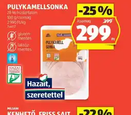 ALDI Pulykamellsonka ajánlat