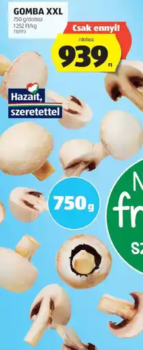 ALDI Gomba XXL ajánlat