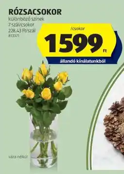 ALDI RÓZSACSOKOR ajánlat