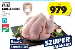 ALDI Húsmester Friss Grillcsirke ajánlat