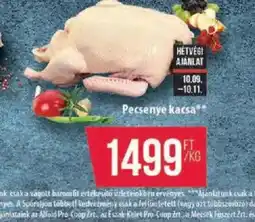 Coop Pecsenye kacsa ajánlat