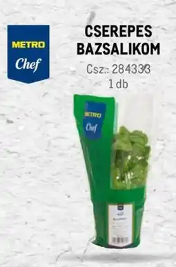 Metro Metro Chef Cserepes bazsalikom ajánlat