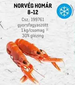 Metro Norvég Homár 8-12 ajánlat