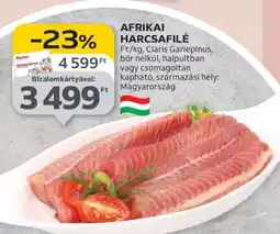 Auchan Afrikai Harcsafilé ajánlat