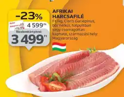 Auchan Afrikai Harcsafilé ajánlat