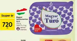 Tesco Magyar laktzmentes túr ajánlat