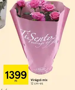 Tesco Virágz mix ajánlat