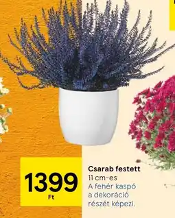 Tesco Csarab festett ajánlat