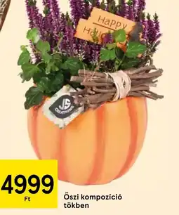 Tesco Őszi kompozíci ajánlat