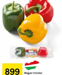 Tesco Magyar tricolor kaliforniai paprika ajánlat